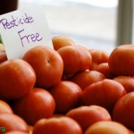 OrganicFoods_MadalynSarafzadeh