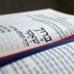 shana bet